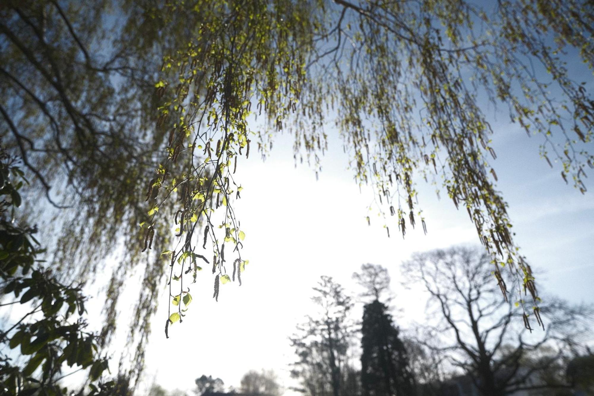 PARKHOTEL - Rosarium Uetersen Eksteriør billede